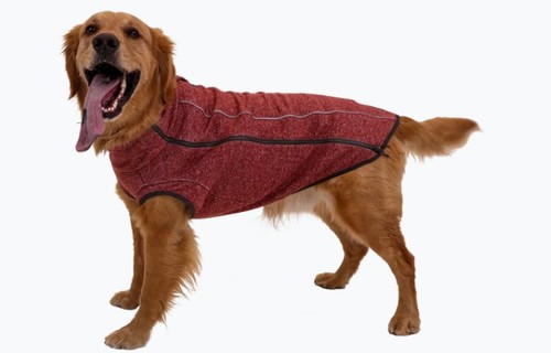 ™Hemp Hound