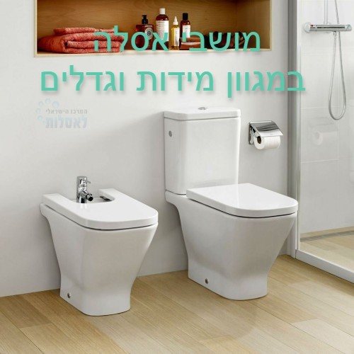 מגוון מושבי אסלה מקוריים ותואמים לאסלות רוקה | Roca.