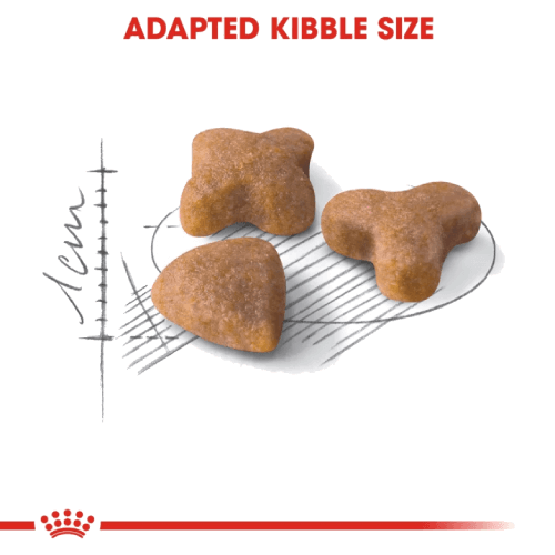 מזון לחתול בוגר רויאל קנין סנסבל 10 ק
