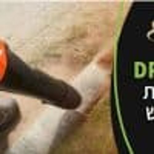 DPB-2500 מפוח נטען 54V ECHO