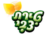 טירת צבי - לוגו