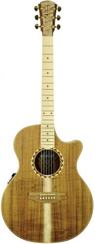 גיטרה אקוסטית Cole Clark Guitars AN2EC