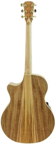 גיטרה אקוסטית Cole Clark Guitars AN2EC