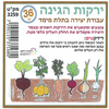 36 יצירה ירקות הגינה - ריטרם