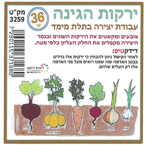 36 יצירה ירקות הגינה - ריטרם