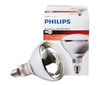 נורת חימום שקופה 250W פיליפס PHILIPS