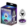 פלאג אנאלי ממתכת בגודל קטן Afterdark  - Purple Amethyst