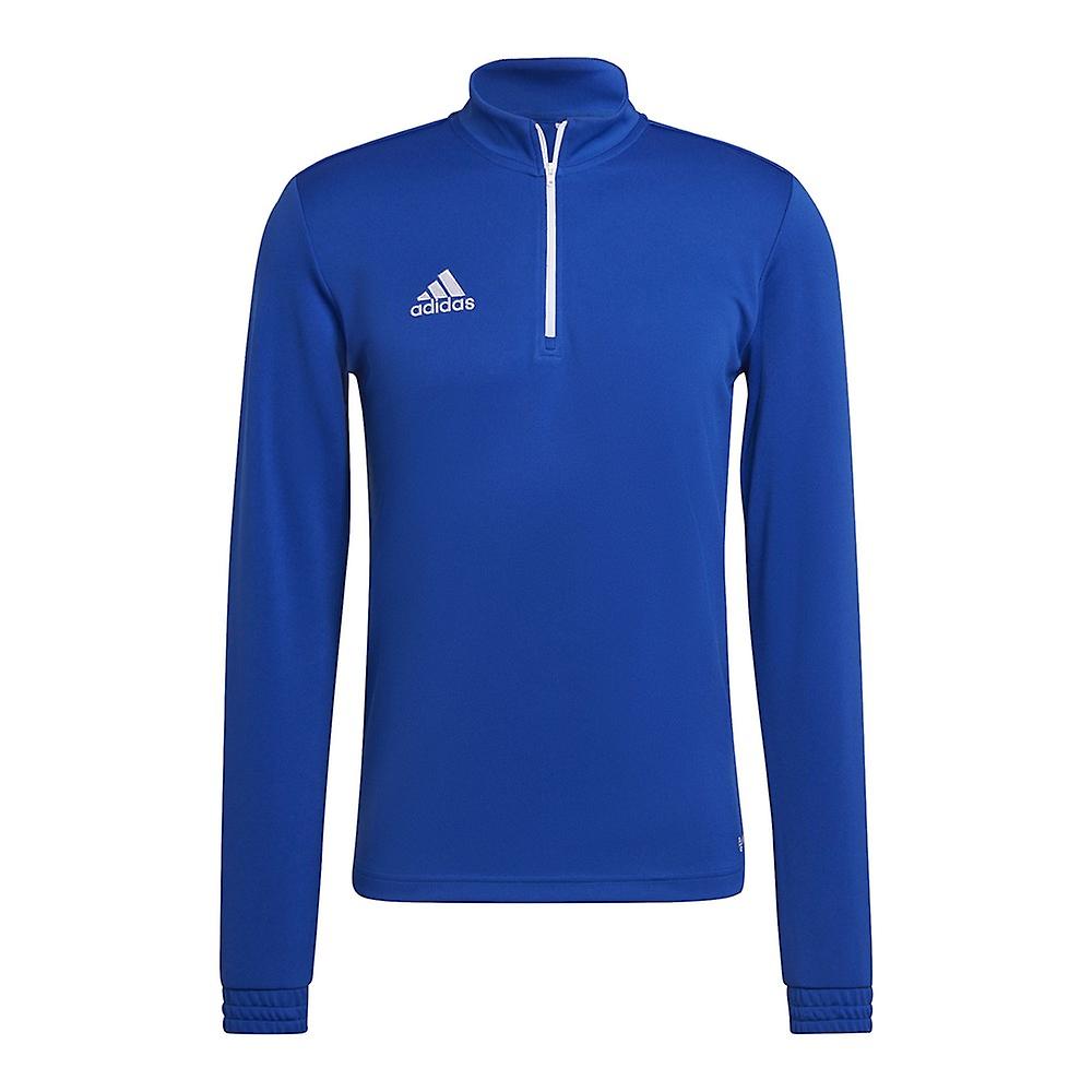 עליונית אינטרדה 22 אפורה Entrada 22 Training Top