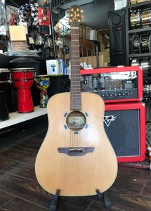 גיטרה אקוסטית Takamine N10