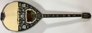 בוזוקי סאקיס מודל BZ8-361 TRUSS ROD