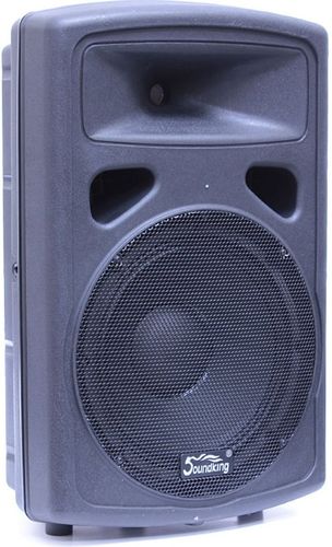 רמקול פסיבי 15 אינץ Soundking  SK FP0215