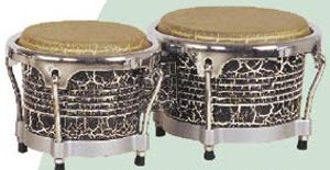 בונגוס ab Drums Snake
