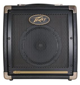 מגבר לגיטרה אקוסטית 20 וואט PEAVEY E20