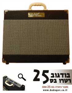 מגבר בס RETRO 25B