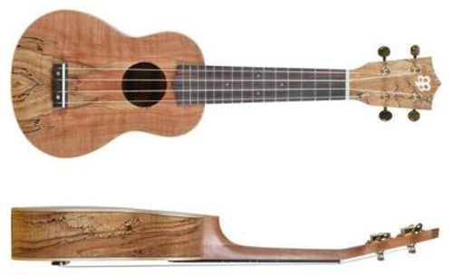 יוקללה מקצועית סופרן  Budagov Spalted Maple