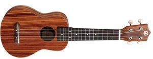 יוקללה Budagov Soprano Zebra-D