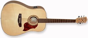 גיטרה אקוסטית בודגוב Budagov Ditty-EQ Rosewood