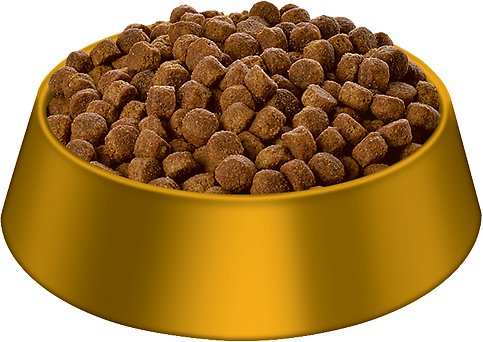 התראת הFDA לגבי מזונות ללא דגנים