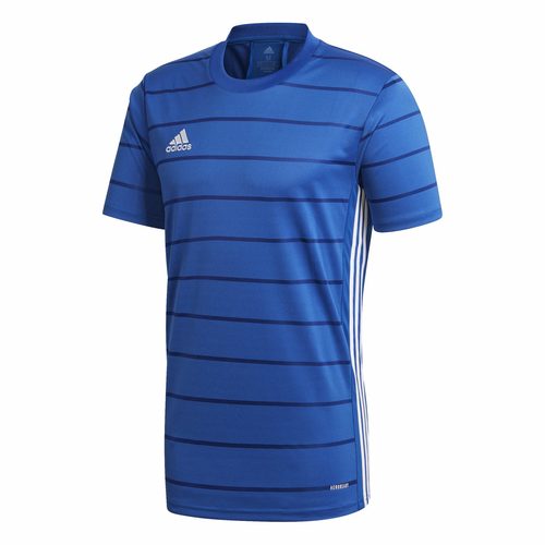 CAMPEON 21 BLUE ROYAL