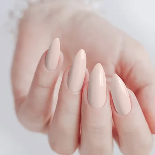 פיקאסו 325 ניצני הסתיו