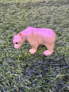 דב לבן מיניאטורי