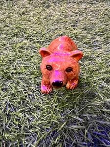 דב חום מיניאטורי