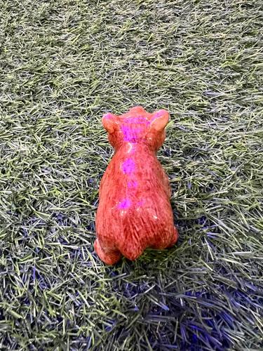 דב חום מיניאטורי