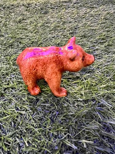 דב חום מיניאטורי