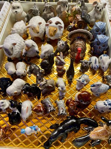 ברווזן פלטיפוס מיניאטורי