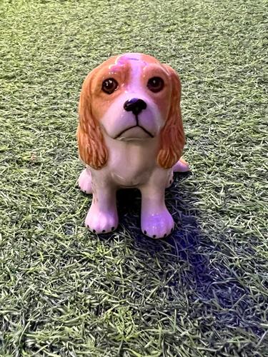 כלב מיניאטורי פורצלן