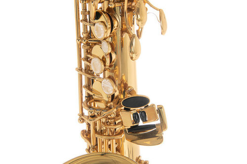 סקסופון אלט מצופה לכה ROY BENSON AS-202 כולל תיק RB700601 מבית GEWA (Germany)