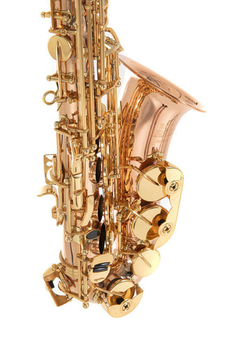 סקסופון אלט מצופה לכה של המותג ROY BENSON AS-202G כולל תיק RB700613 מבית GEWA (Germany)