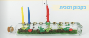 חנוכיית בקבוק