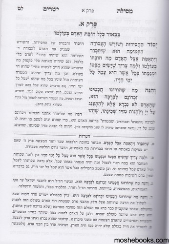 מסילת ישרים רב לתלמיד