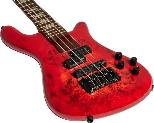 זוית נוספת spector EUROBOLT 4
