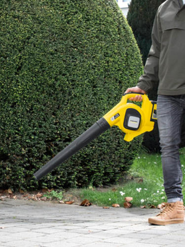 מפוח ביתי KARCHER LBL4 1445-160