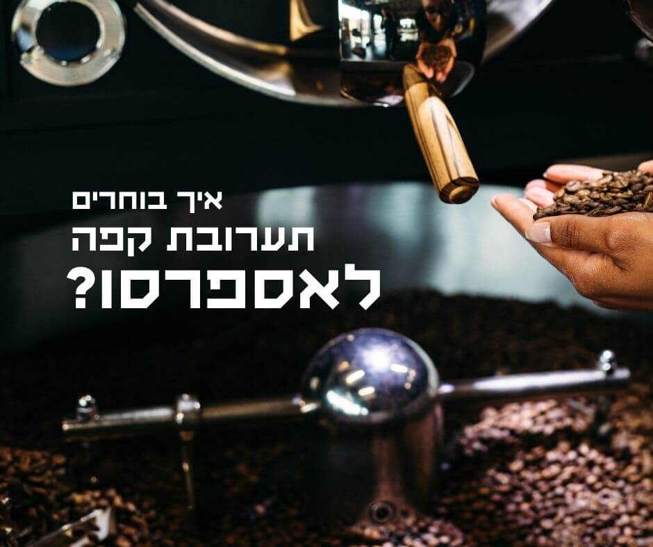 מפרסם המאמר