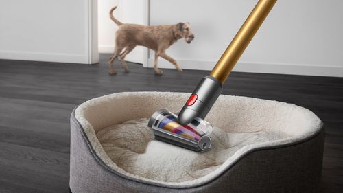 ‏שואב אבק  Dyson V15 Detect Absolute 
