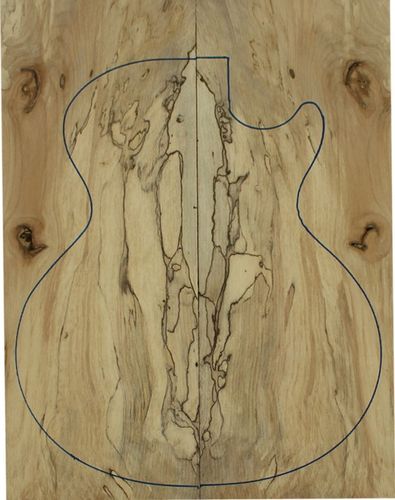 עץ לגיטרה Spalted Maple