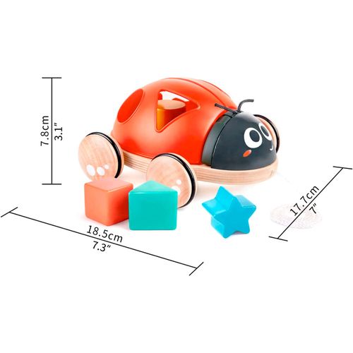 התאמת צורות חיפושית HAPE 