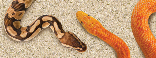 אקזוטרה מצע לנחשים 8.8 ליטר ExoTerra Snake Bedding