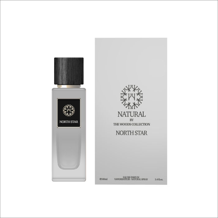 בושם לגבר דה ווד קולקשיין THE WOOD COLLECTION NORTH STAR 100 ML E.D.P