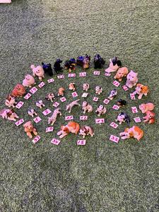 כלבים פורצלן