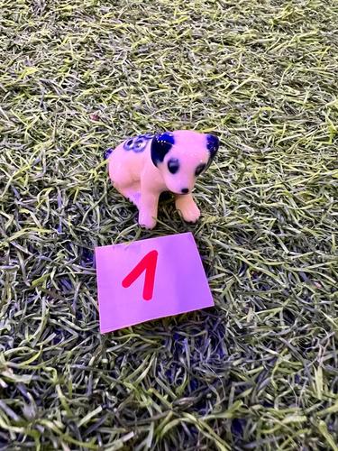 כלבים פורצלן