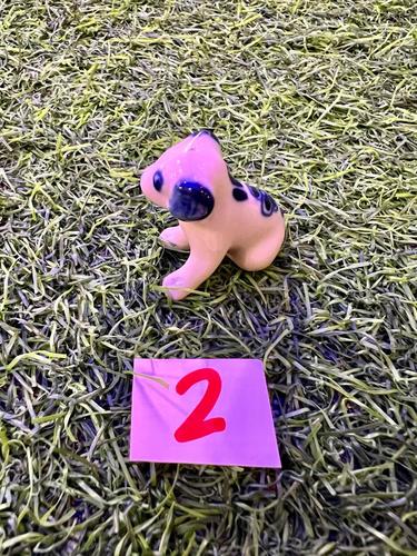 כלבים פורצלן