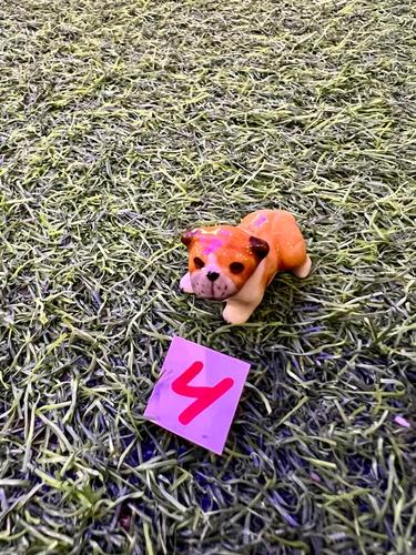 כלבים פורצלן