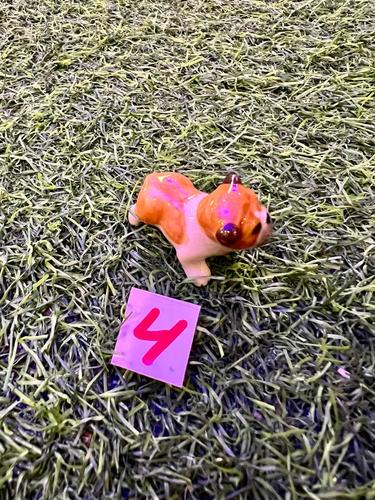 כלבים פורצלן