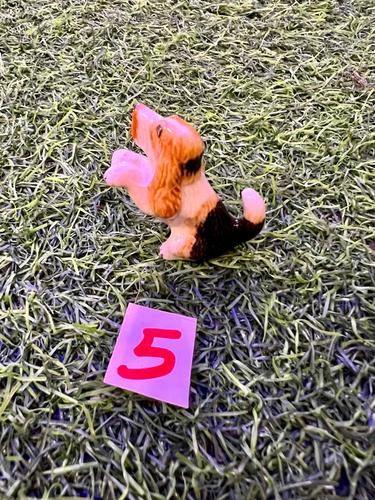 כלבים פורצלן