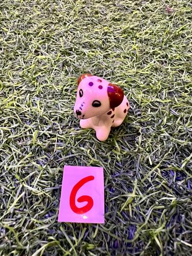 כלבים פורצלן