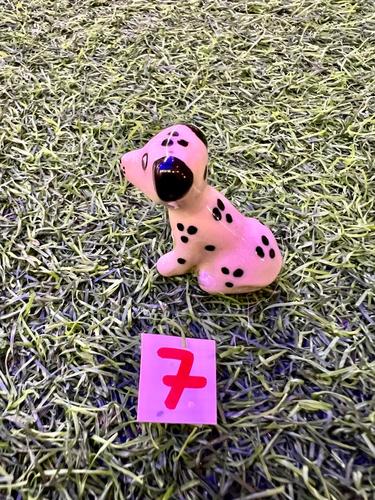 כלבים פורצלן